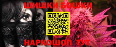 шишки Будённовск